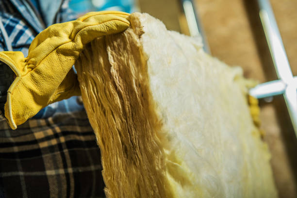 Best Eco-Friendly Insulation in Lake Of The Pines, CA