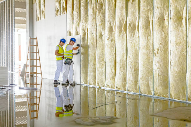 Best Residential Insulation in Lake Of The Pines, CA